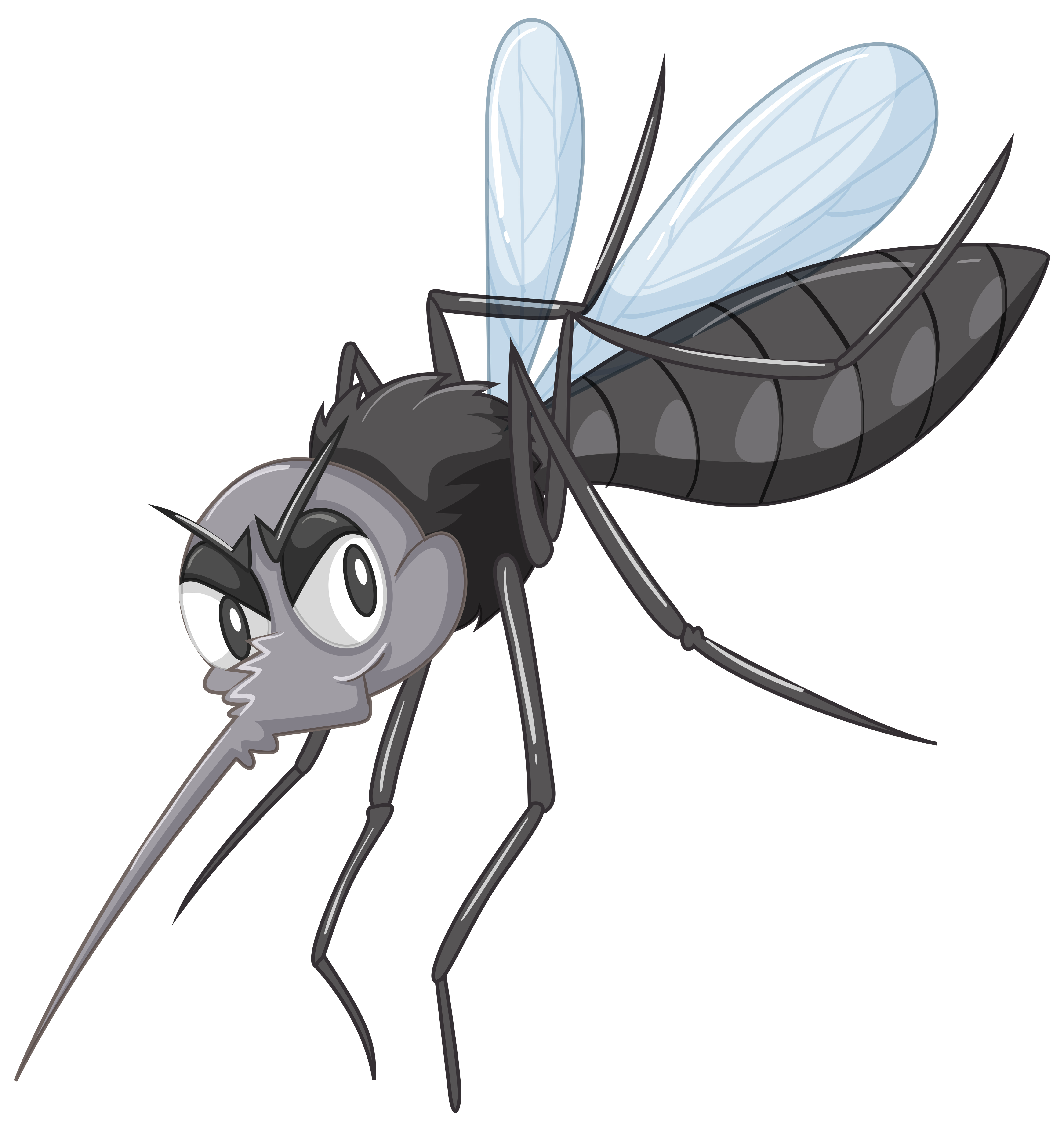 pest Control in Canberra