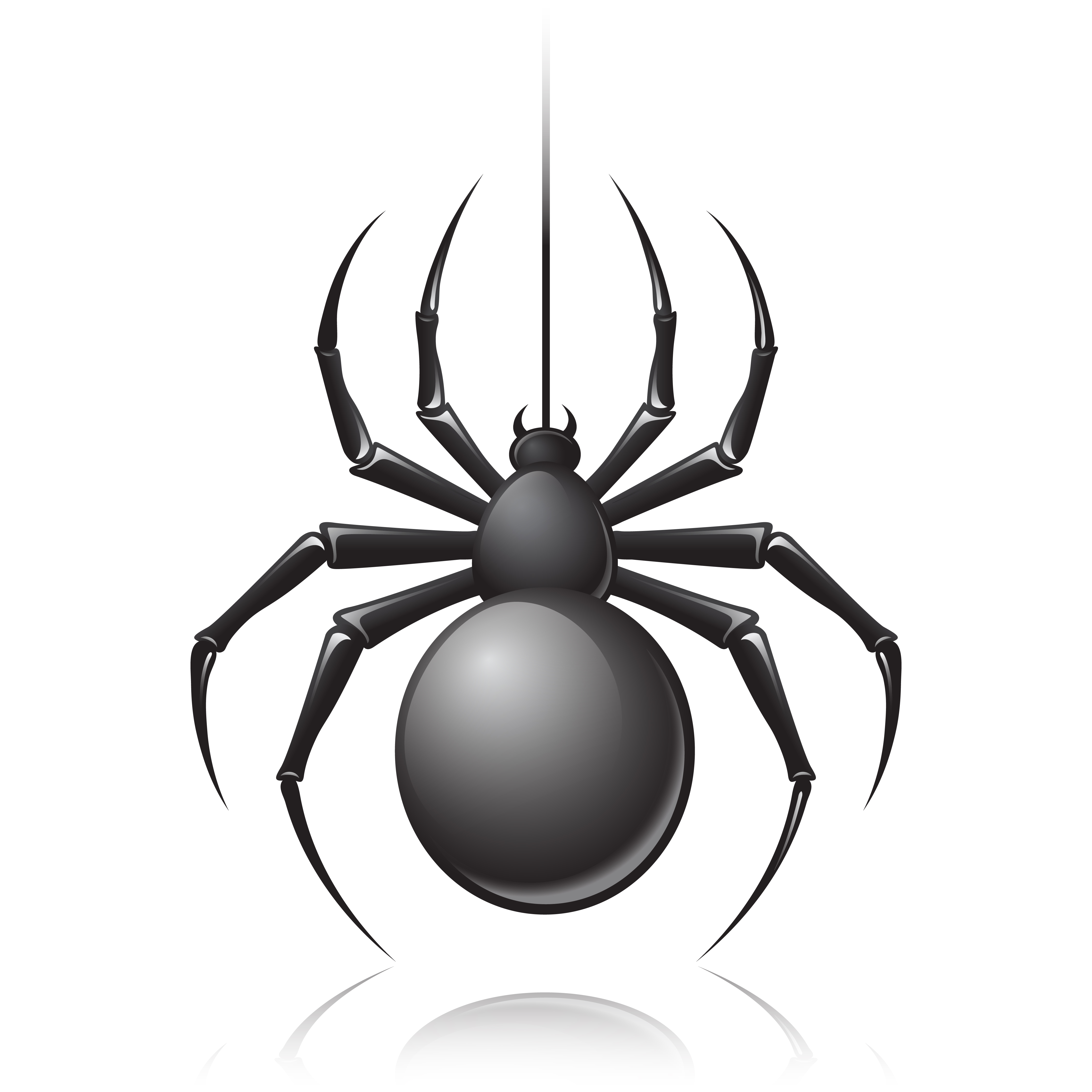pest Control in Canberra