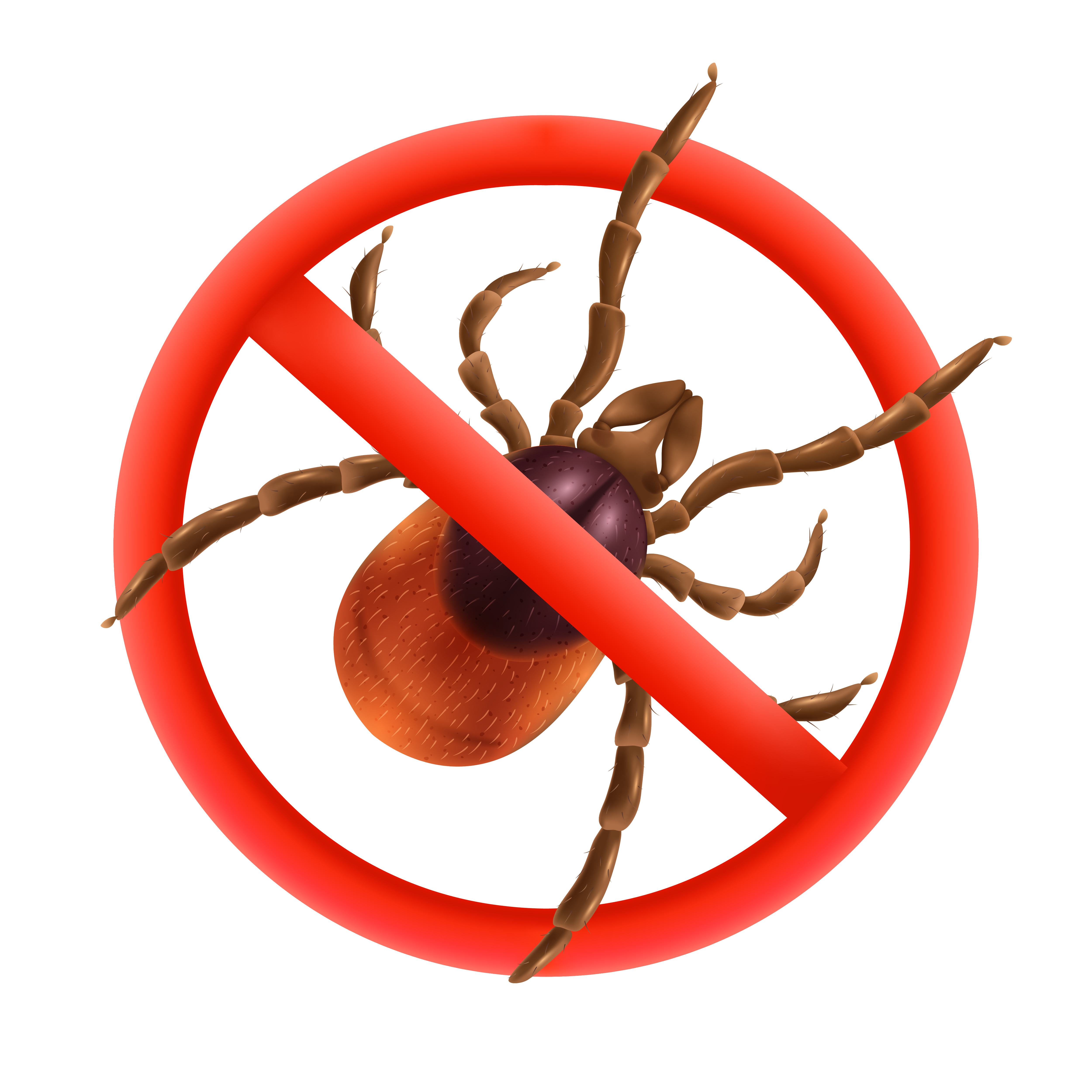pest Control in Canberra